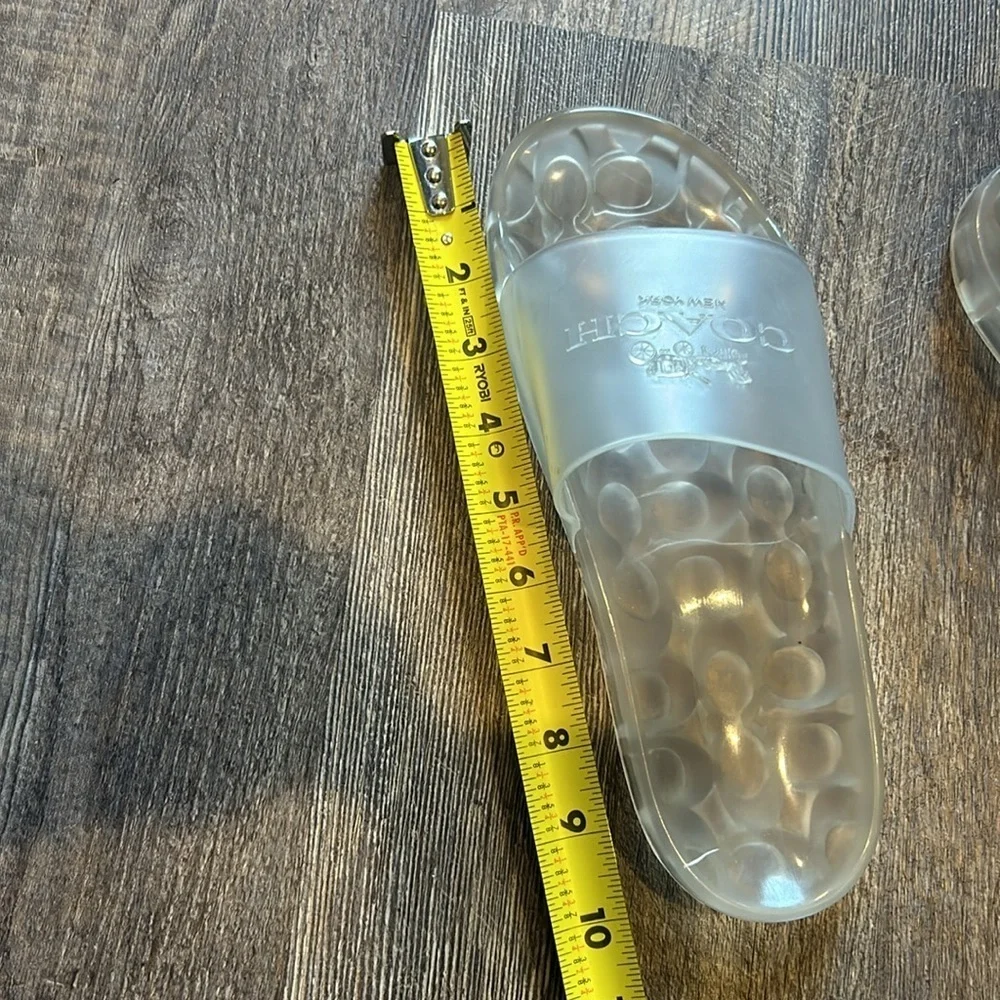 Coach size clear slides
